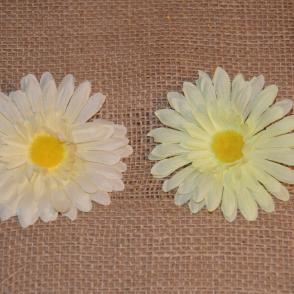 gerbera 5